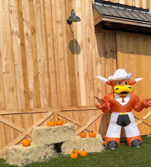 Bevo, hay bales and pumpkins at the barn doors
