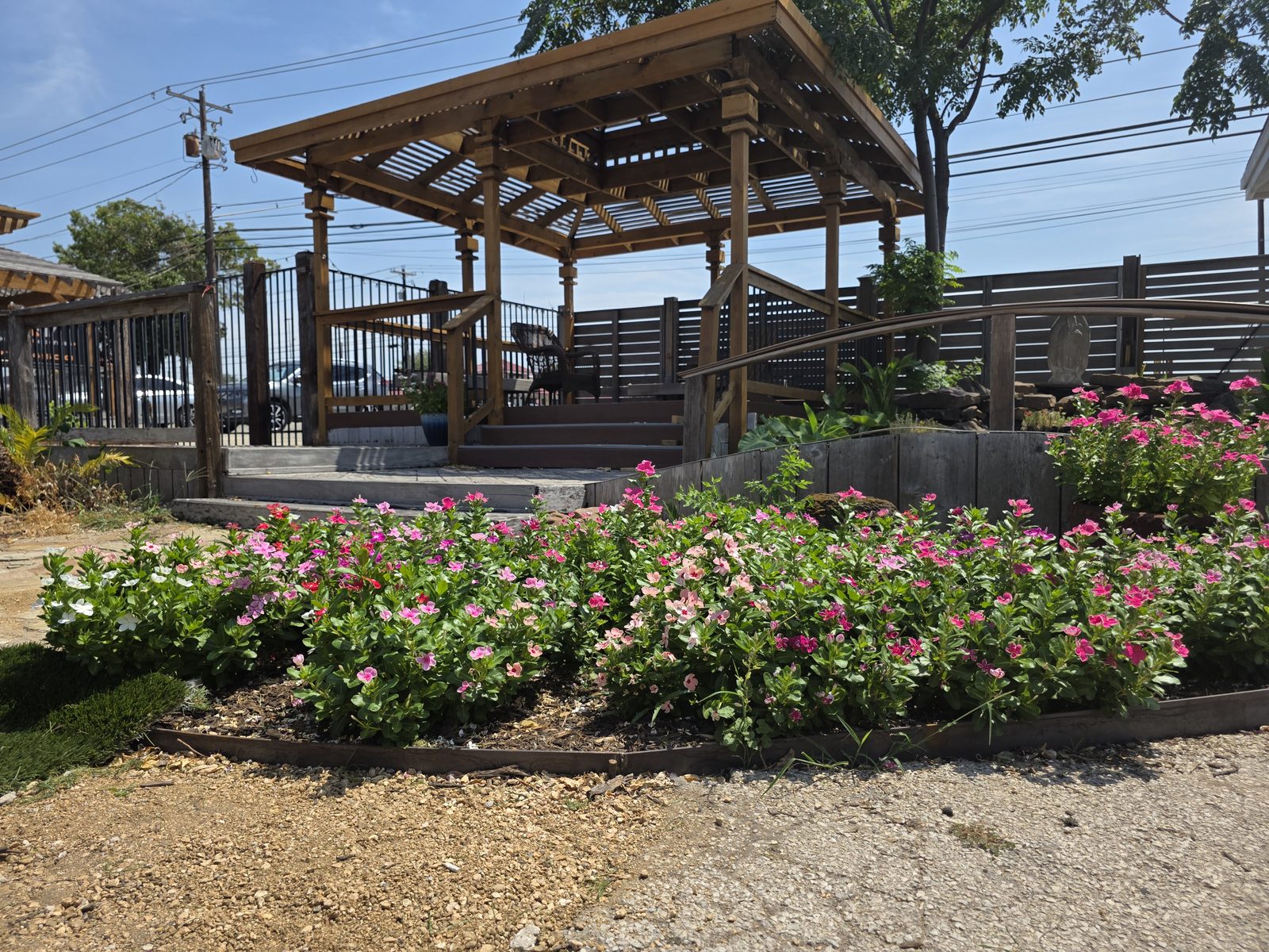 The pergola deck behind beds of pink flowers