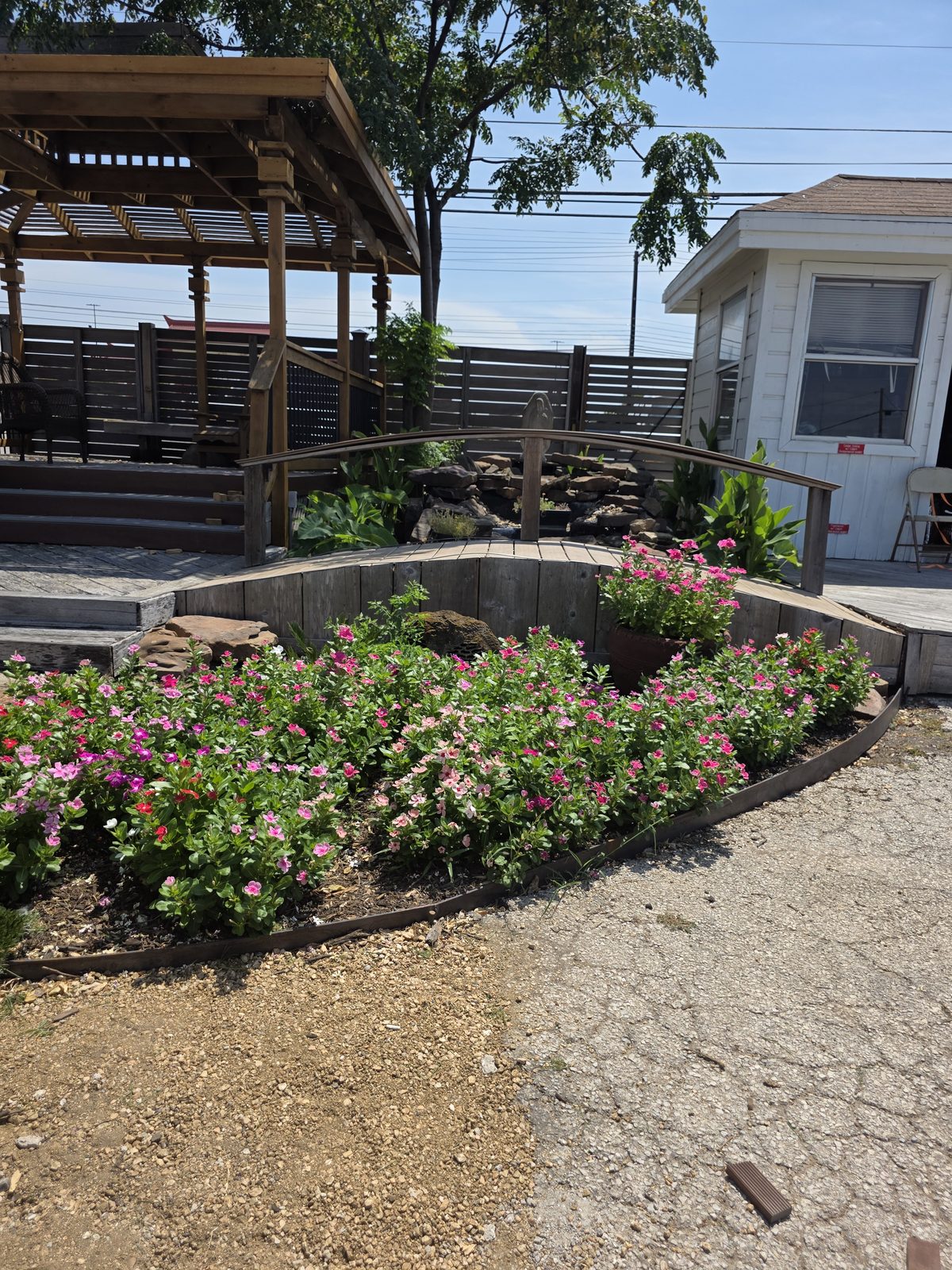 The gazebo behind beds of pink flowers