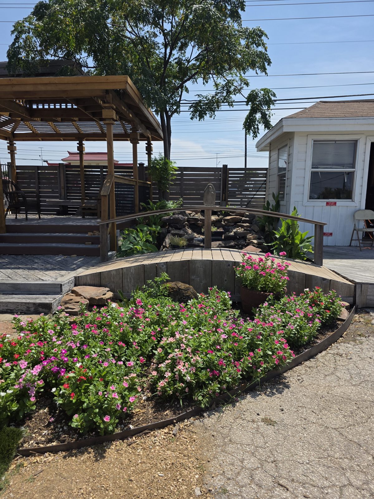 The gazebo and waterfall garden in bloom